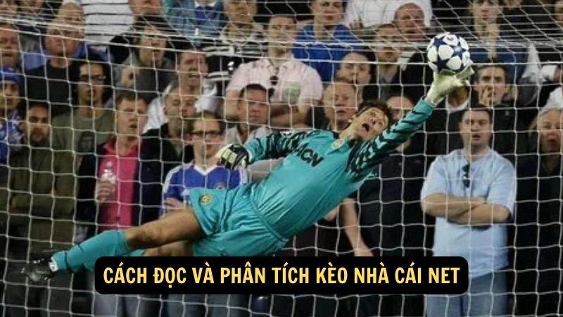 Kèo Nhà Cái Net: Lời Khuyên Và Chiến Lược Cá Cược Chính Xác 3 Cách đọc và phân tích kèo nhà cái net